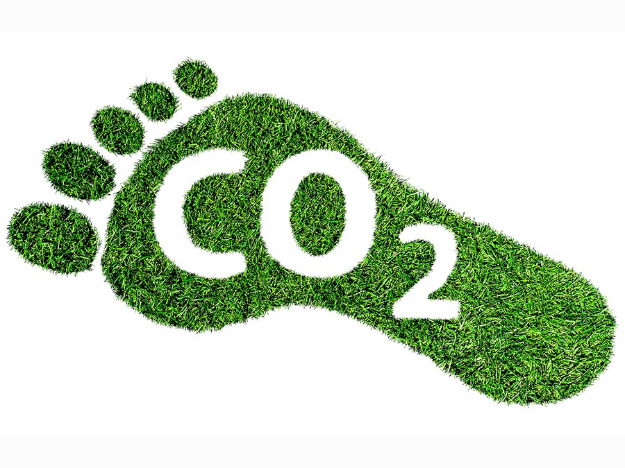 How To Reduce Your Carbon Footprint sustainablefashion.ie Ireland